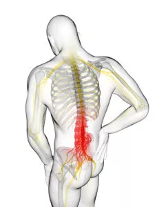 Human back pain, artwork