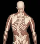 Lateral Spine Curvature