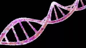 Inherited Spinal Conditions