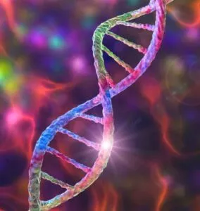 Scoliosis and Heridity