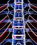 Thoracic Stenosis