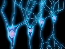 Peripheral Neuropathies