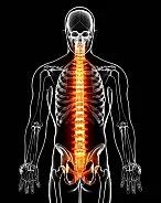 Spine Revision Surgery